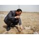 20120413 项目合作方兰州社服王喜奎神父实地考察项目 适合沙漠树木的浇灌方式-滴灌