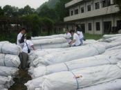 进德公益海外合作伙伴提供的首批1900顶帐篷送抵灾区