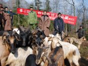 云南：盘河地震灾区恢复生产养殖项目今启动