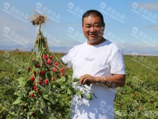 26078  *权因突发意外、水箱炸裂造成严重烫伤、骨裂求助
